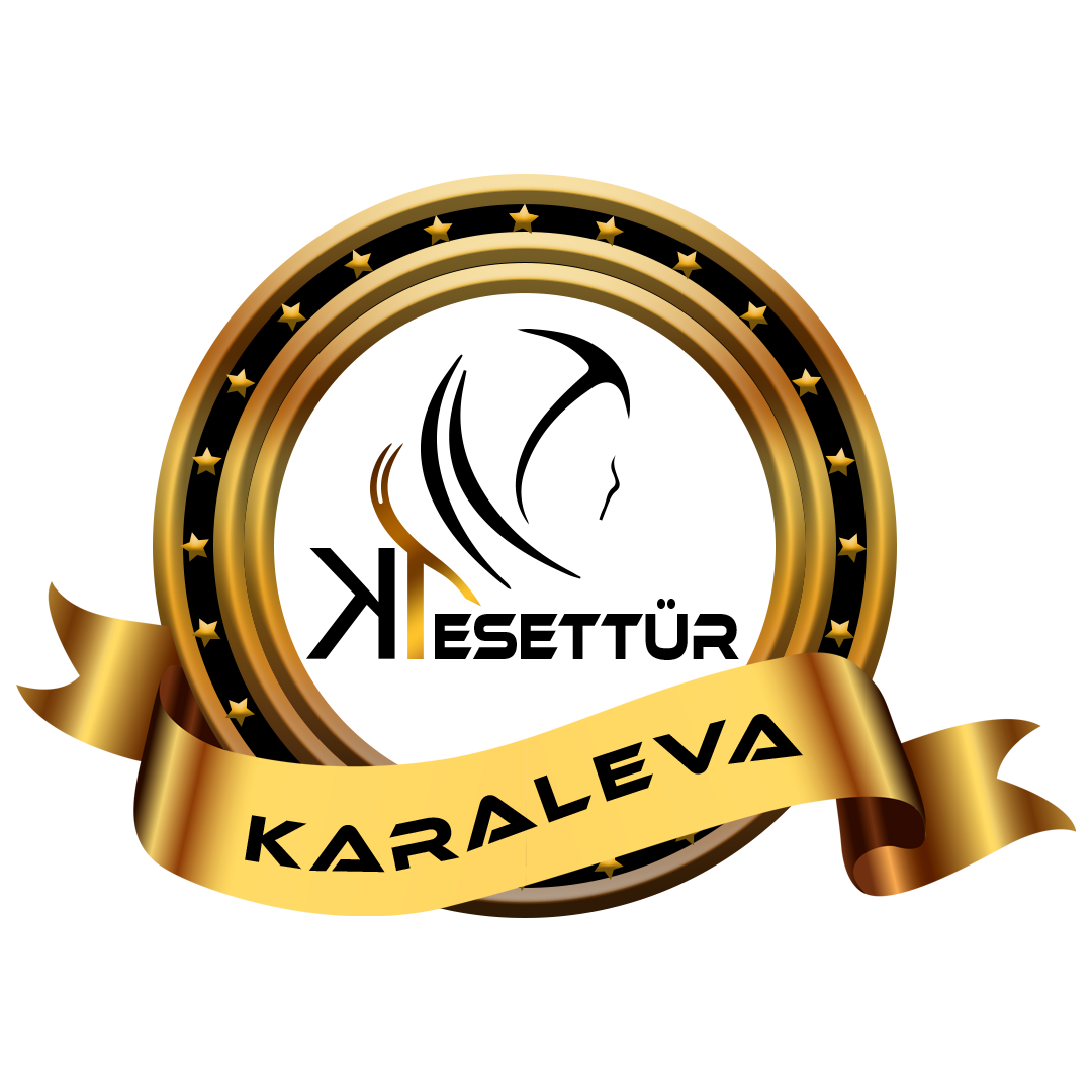 Karaleva Tesettür